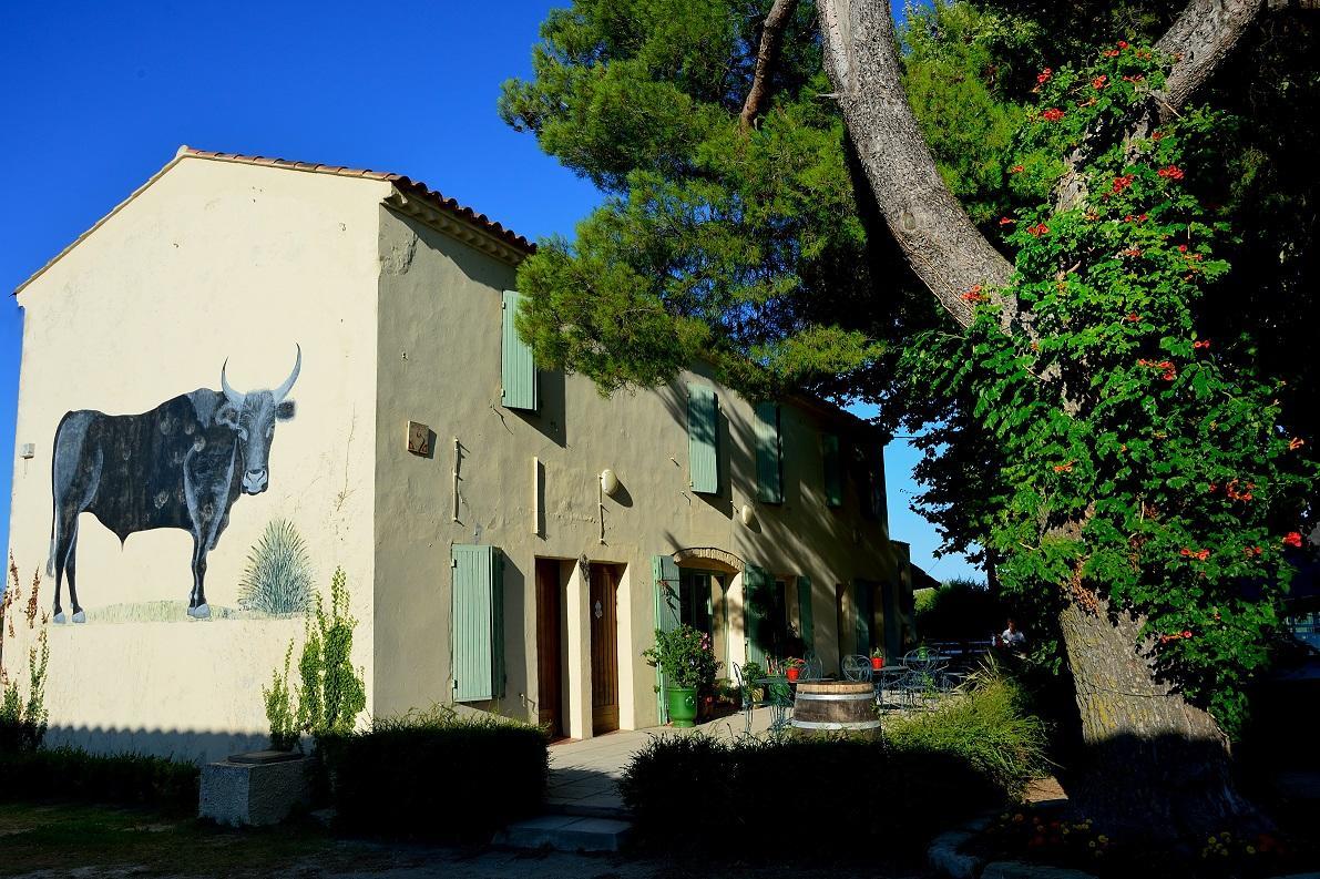 Manade Saint Louis Mas De La Paix Bed & Breakfast Vauvert Exterior photo